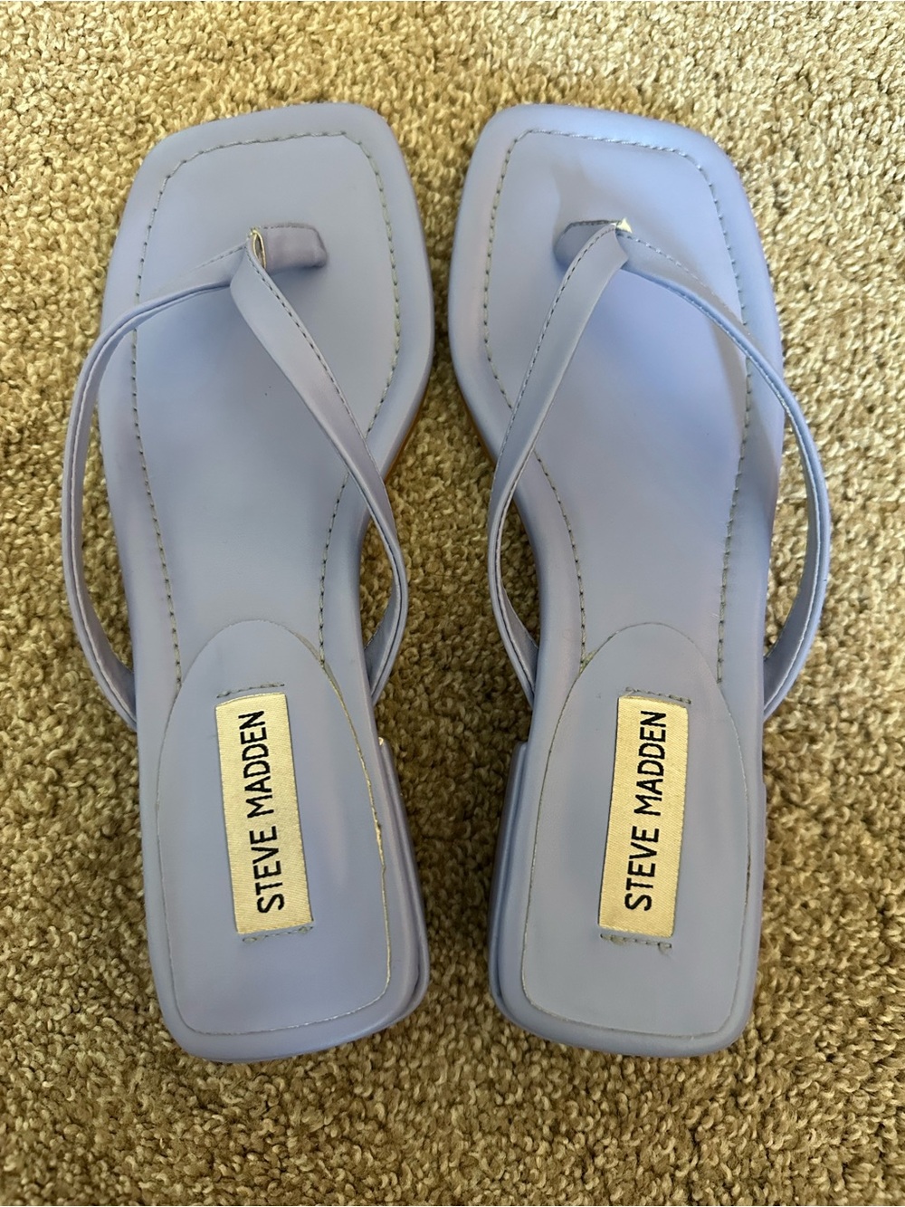 Steve Madden Lavender Square-Toe Thong Sandals
